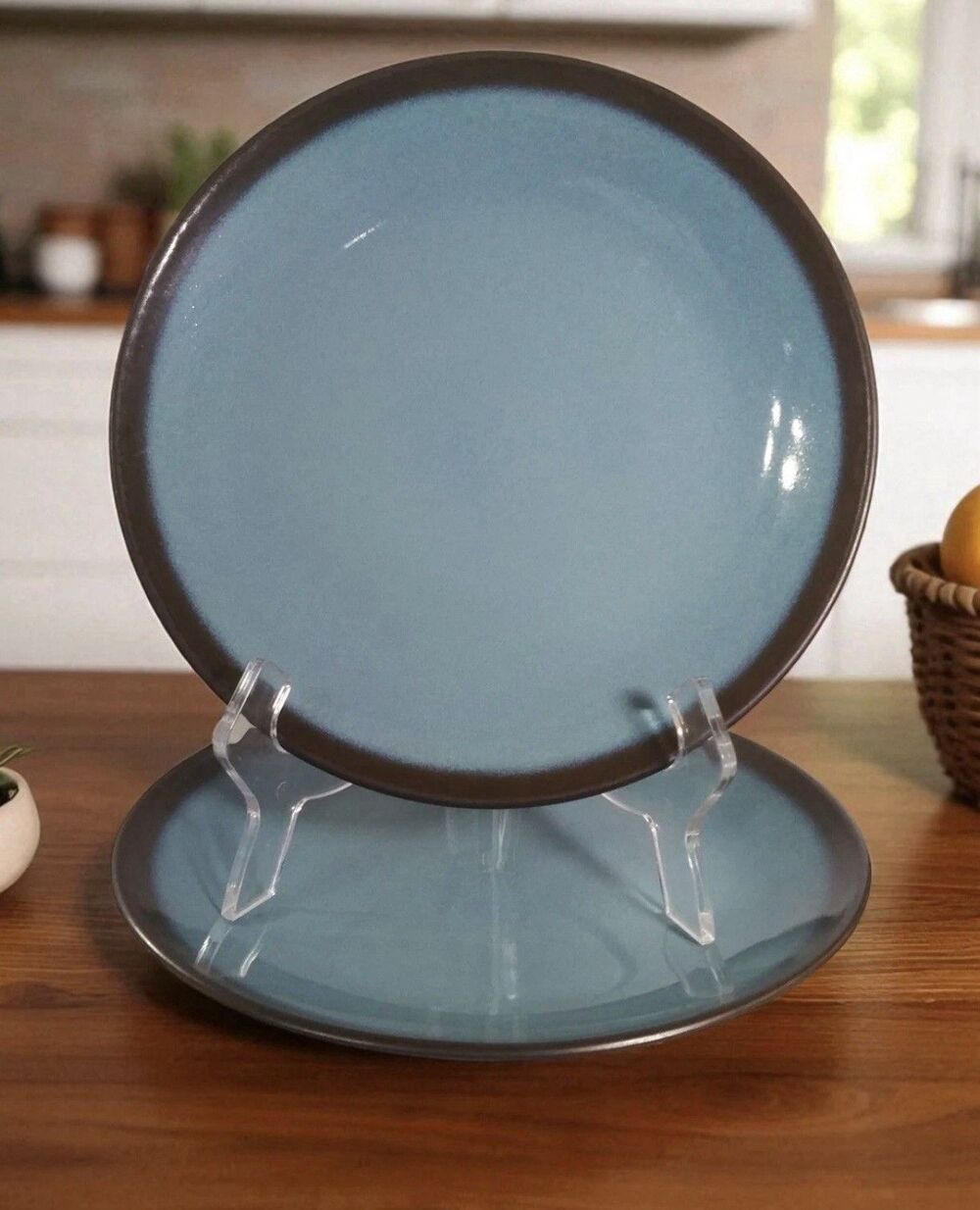 Home Trends Lagoon Teal Stoneware Replacement Dinner Plates 10.75" Set of 2